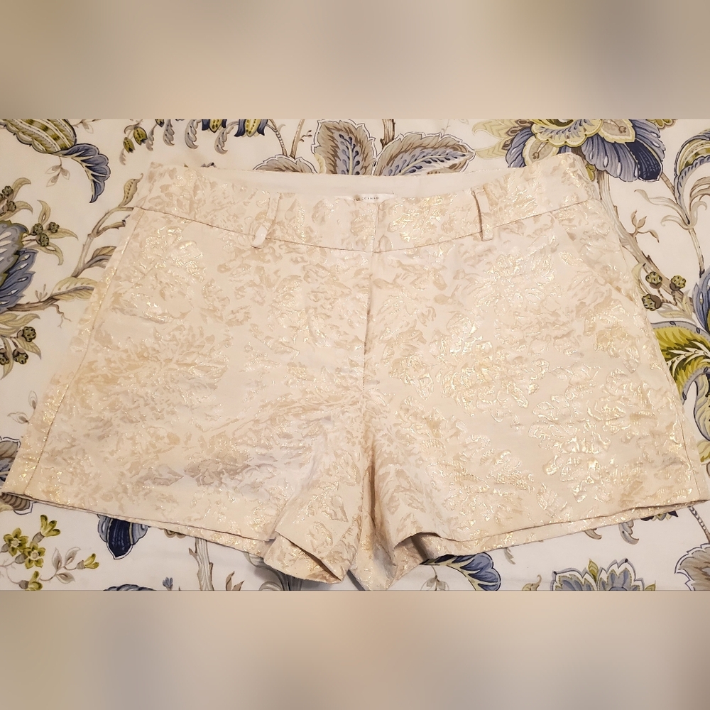 Elegant gold and Cream Women's Shorts